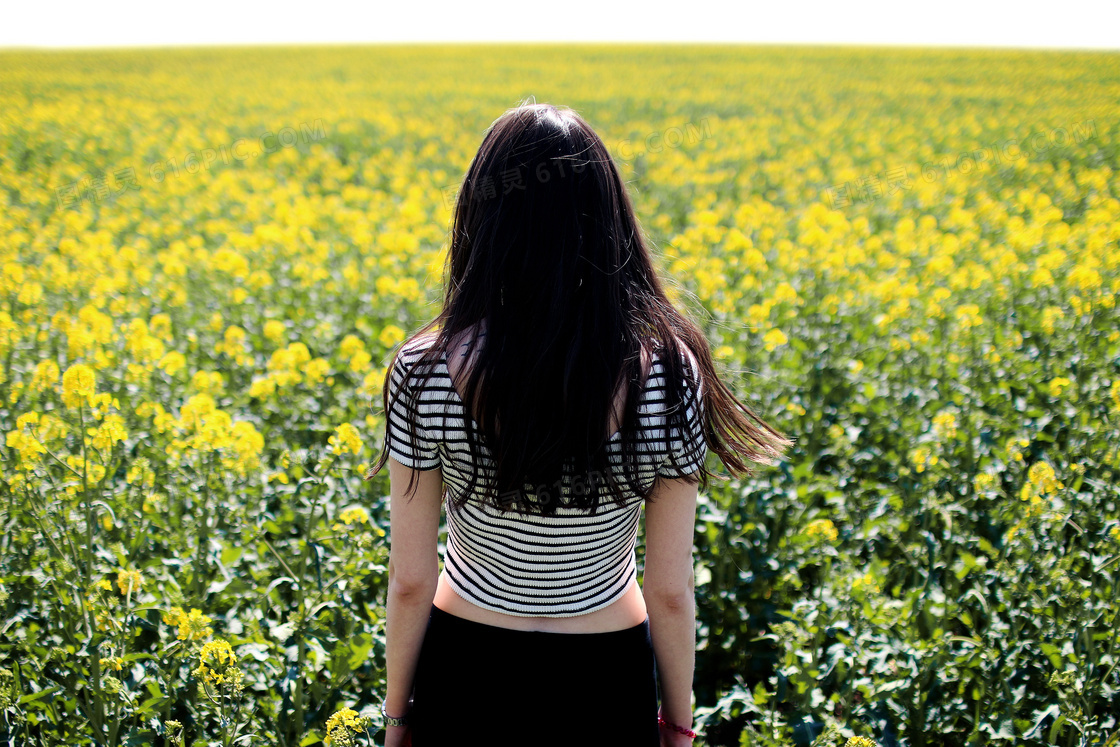 油菜花地美女背影图片