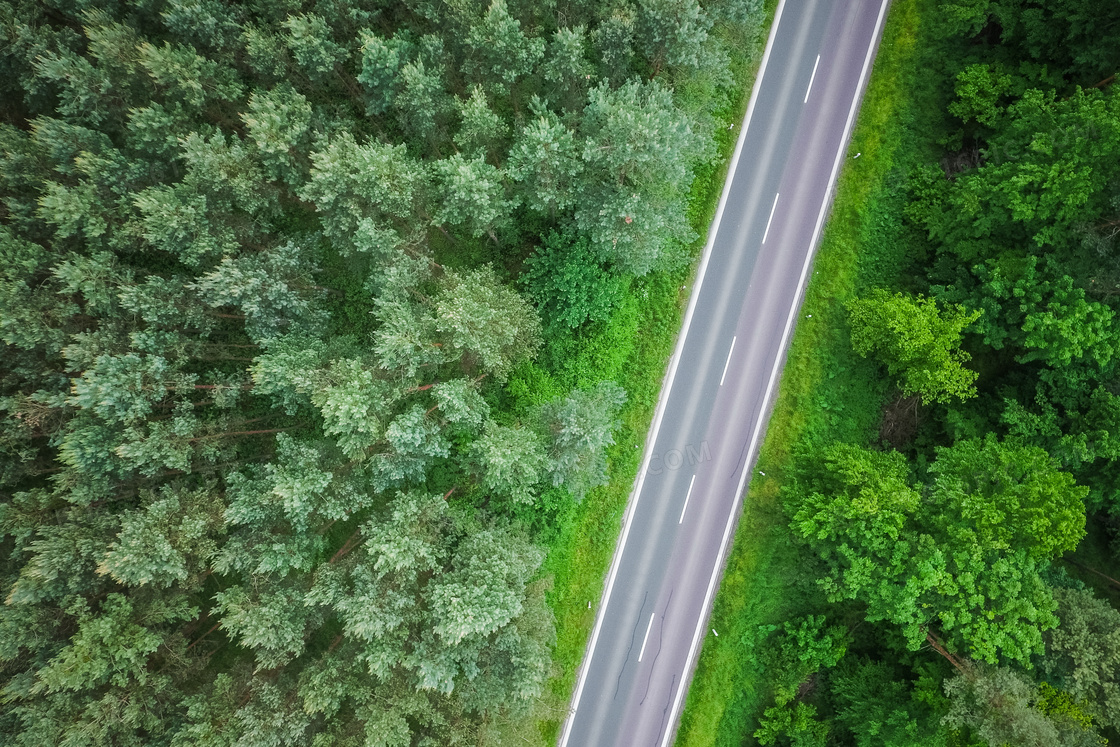 森林公路图片