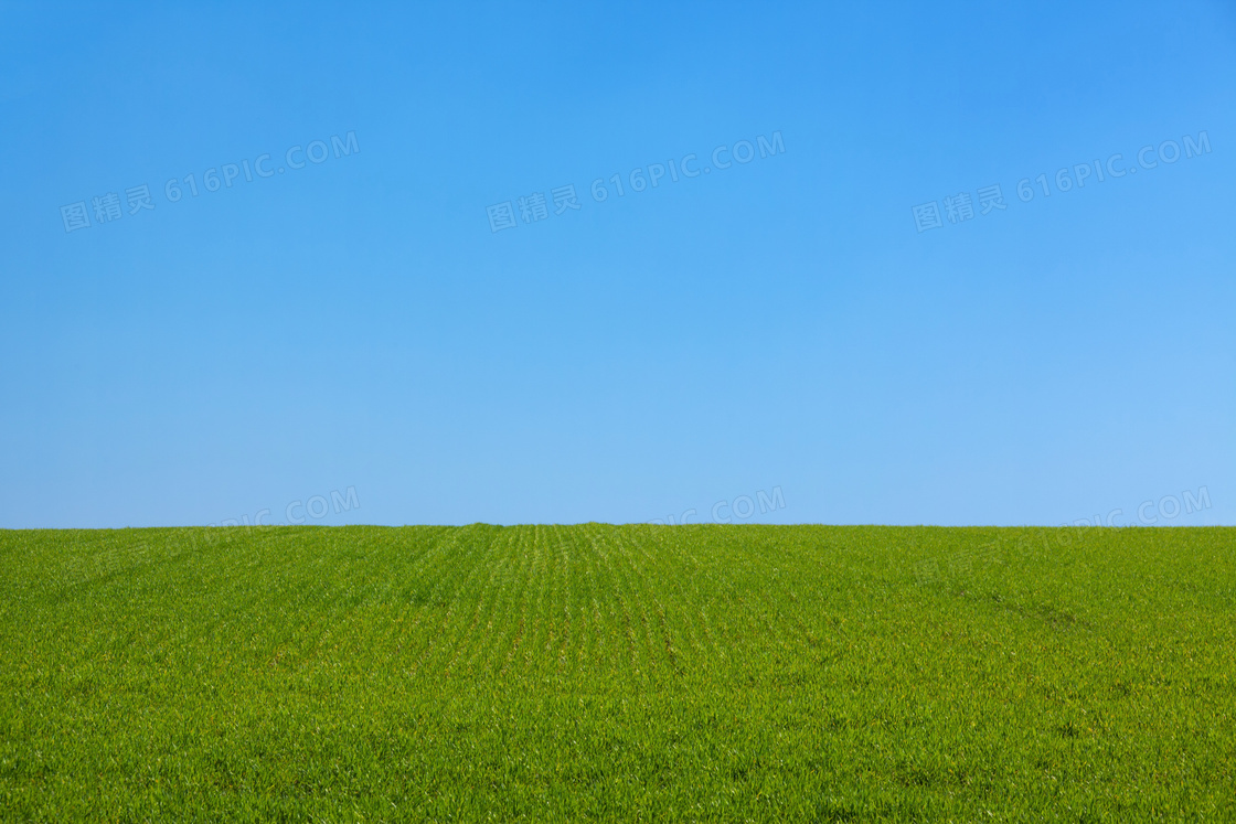 草原桌面风景图片