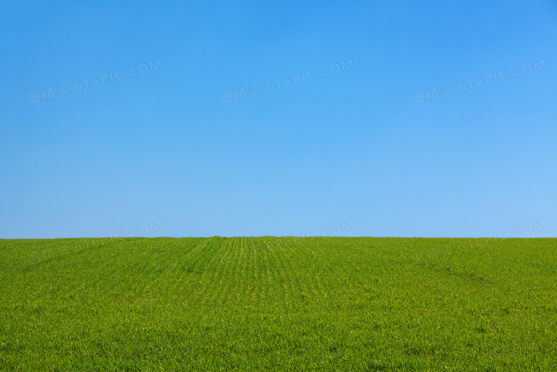 草原桌面风景图片