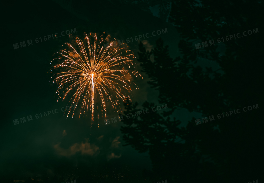 夜晚绚丽烟花图片