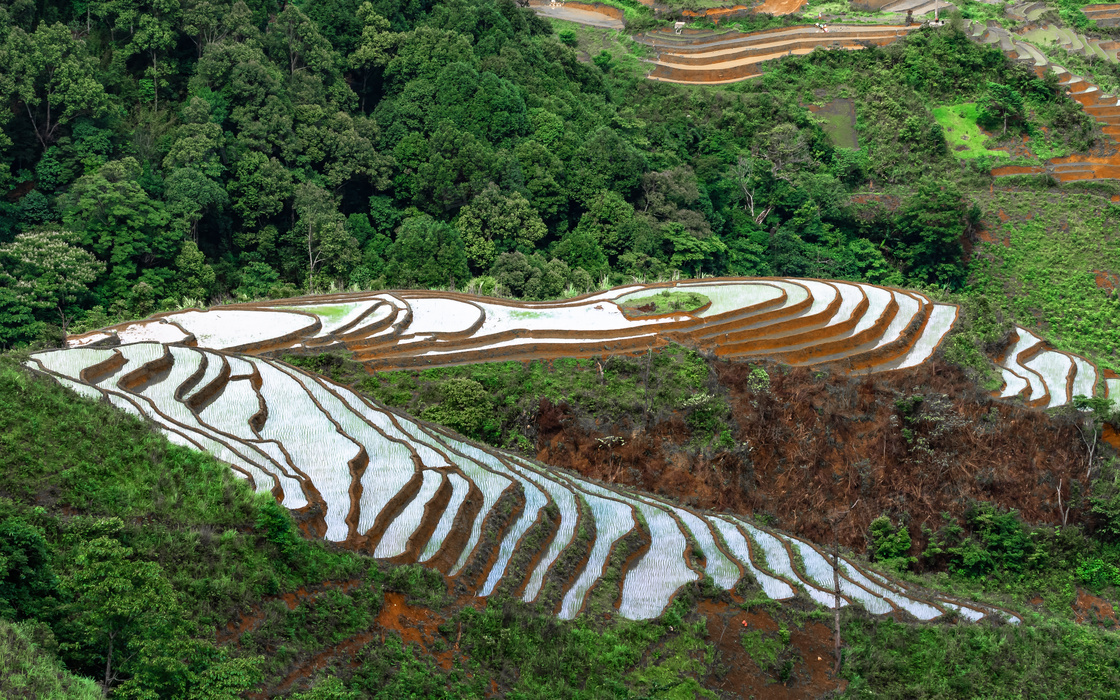 高山梯田图片