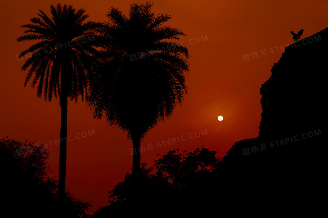 夕阳剪影风景图片