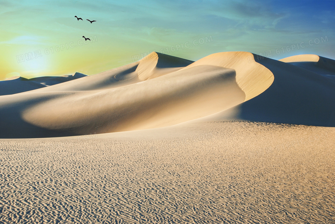 荒芜沙漠沙丘风景图片