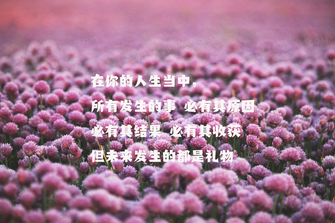 唯美花海文字图片