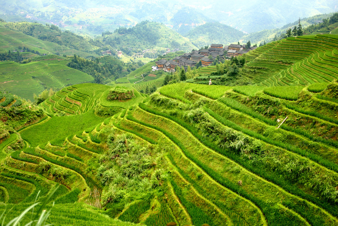 大山中的梯田美景摄影图片