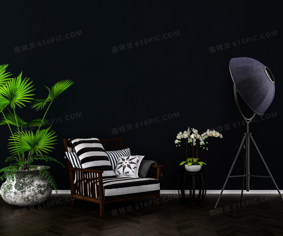 黑色背景绿植沙发渲染效果高清图片