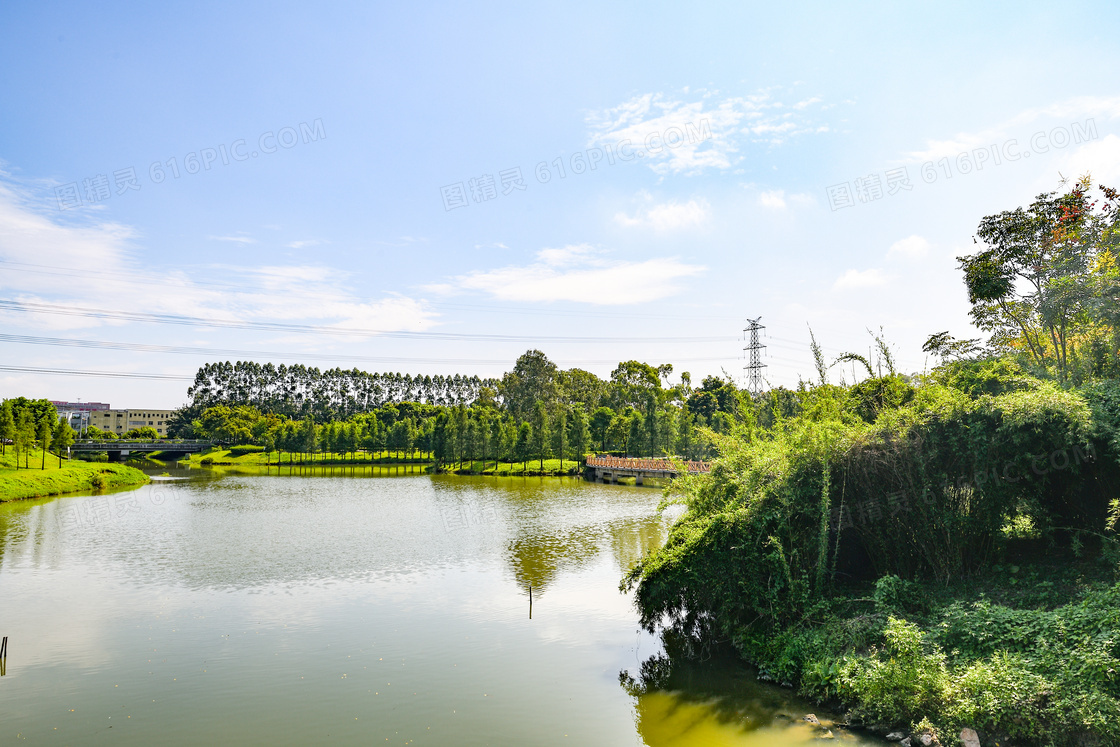 茶山镇湿地公园美景高清摄影图片