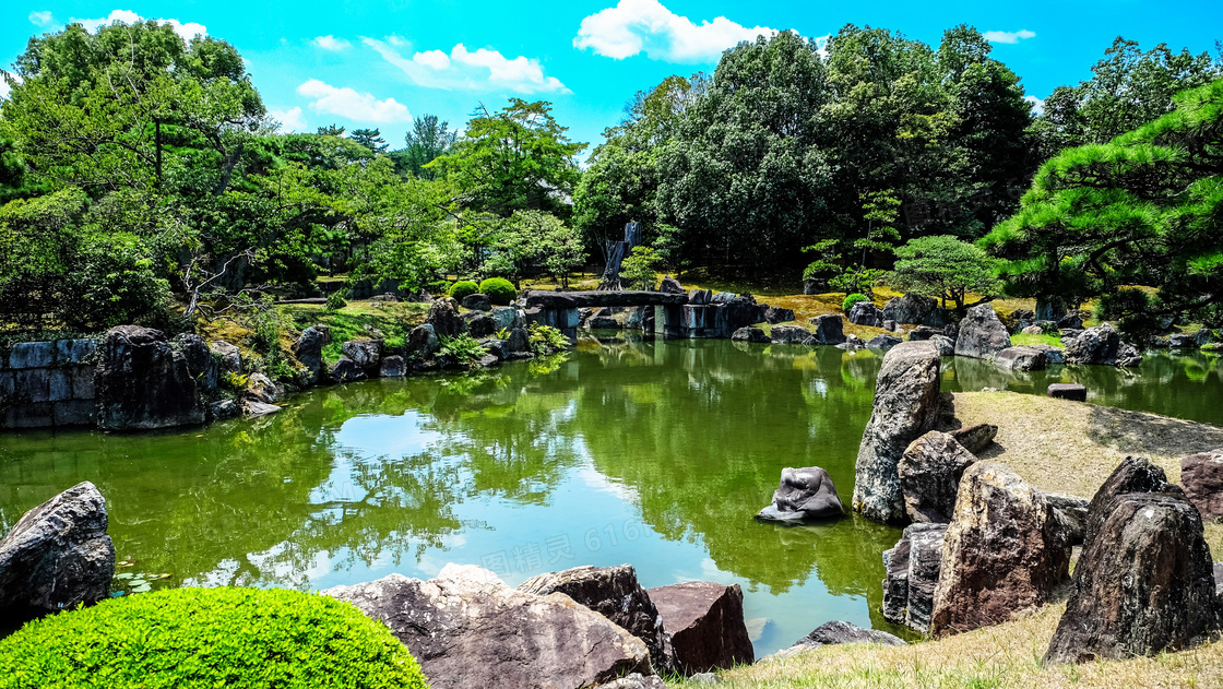 公园中的池塘和树林摄影图片