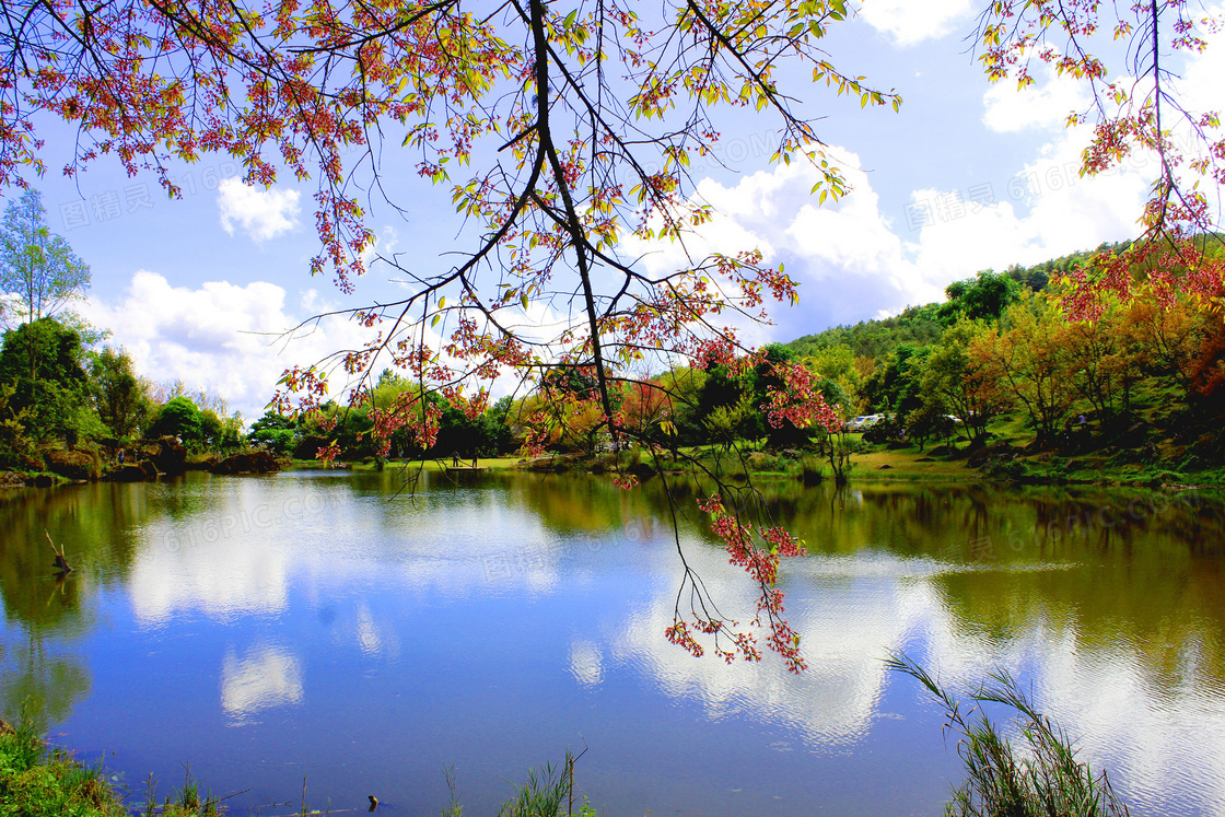 公园中静谧的湖泊美景摄影图片