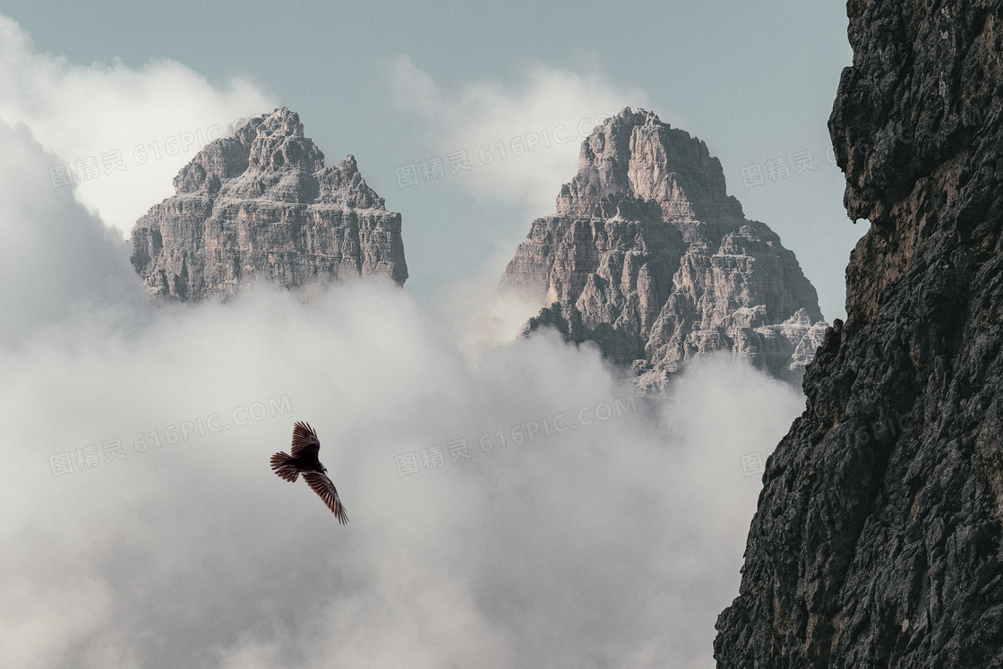 翱翔于群山之间的老鹰摄影高清图片