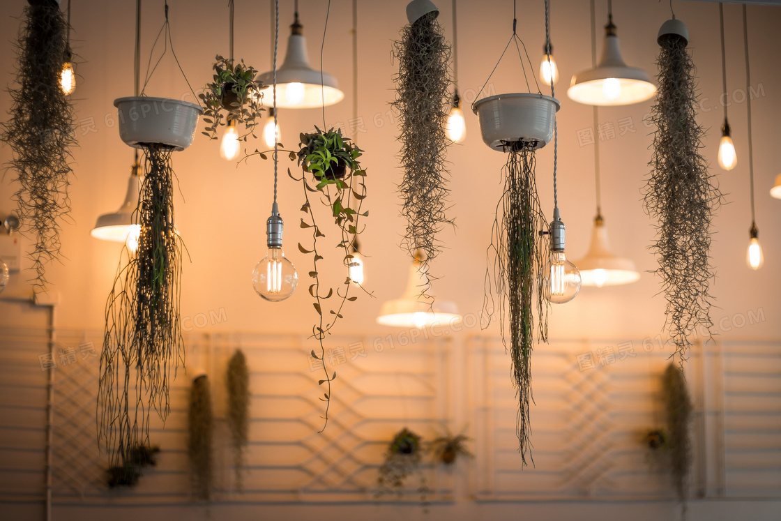 植物藤蔓与亮着的吊灯摄影高清图片