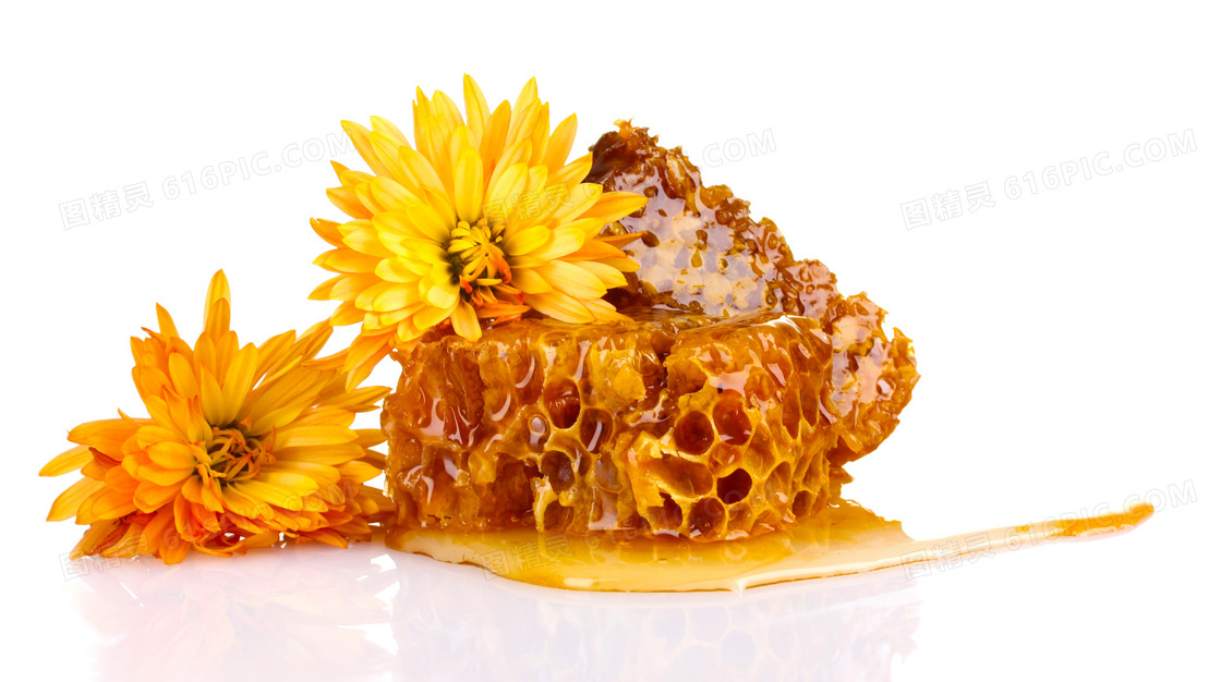 用黄色鲜花装饰的蜂蜜摄影高清图片