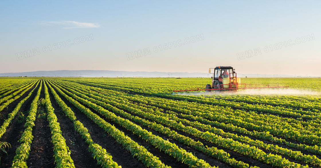 对庄稼喷洒农药的机械摄影高清图片