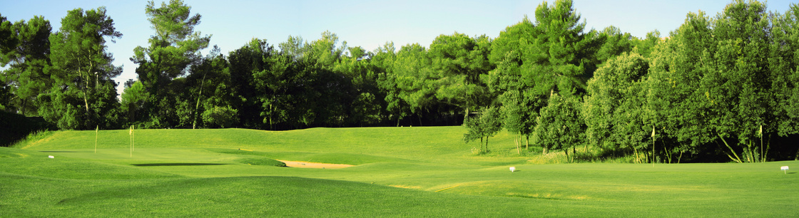 树木环绕的高尔夫球场摄影高清图片
