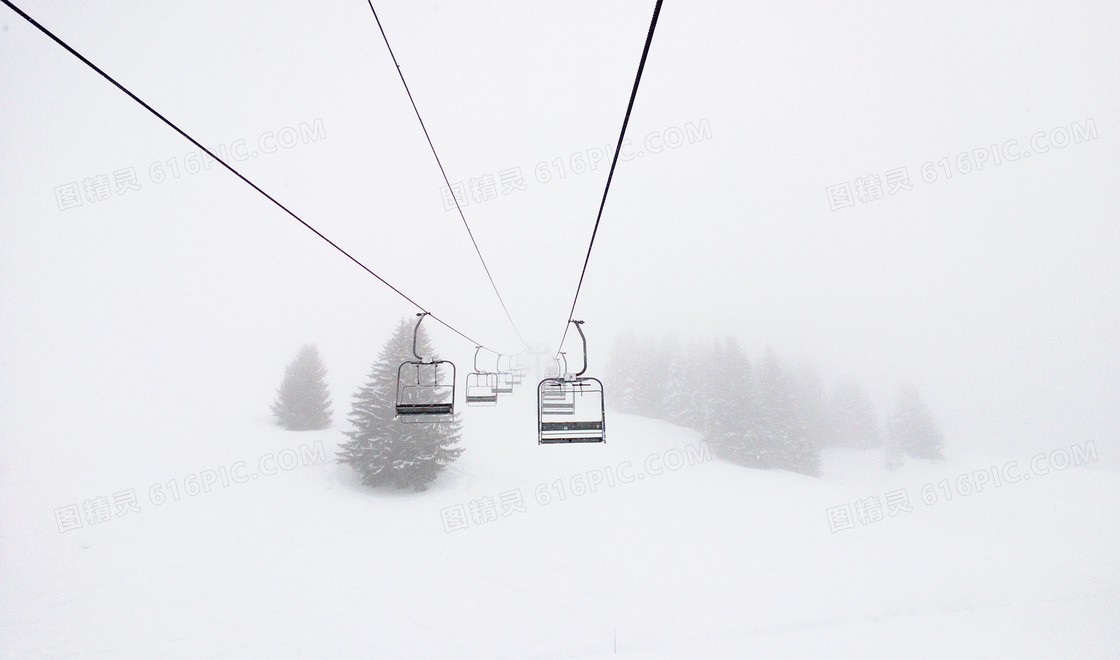 树木与滑雪场中的缆车摄影高清图片