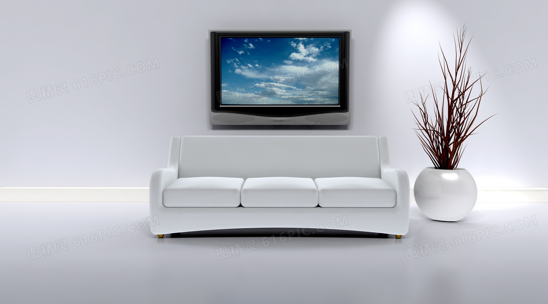 沙发干枝与墙上的电视摄影高清图片