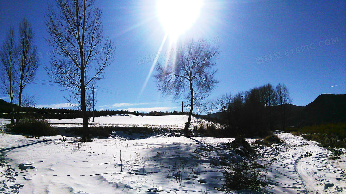 阳光下的乡村冬日雪景摄影图片