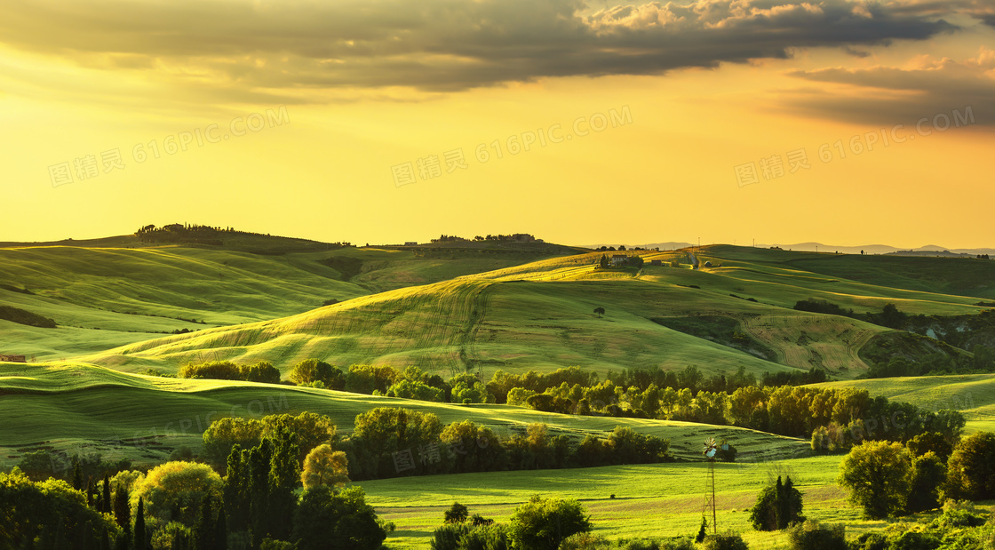 绿色草原清晨美丽风光摄影图片