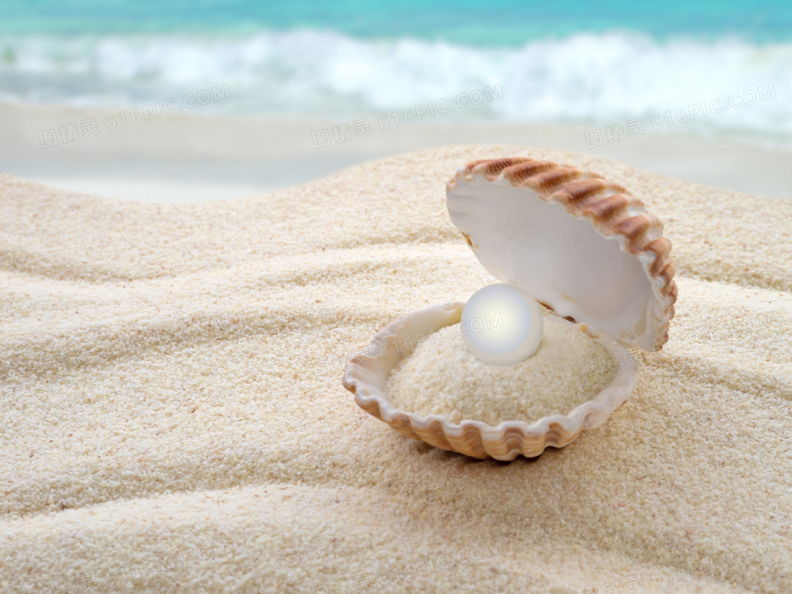 沙滩上在蚌壳里的珍珠47537_静物写真_静物类_图库壁纸_68Design