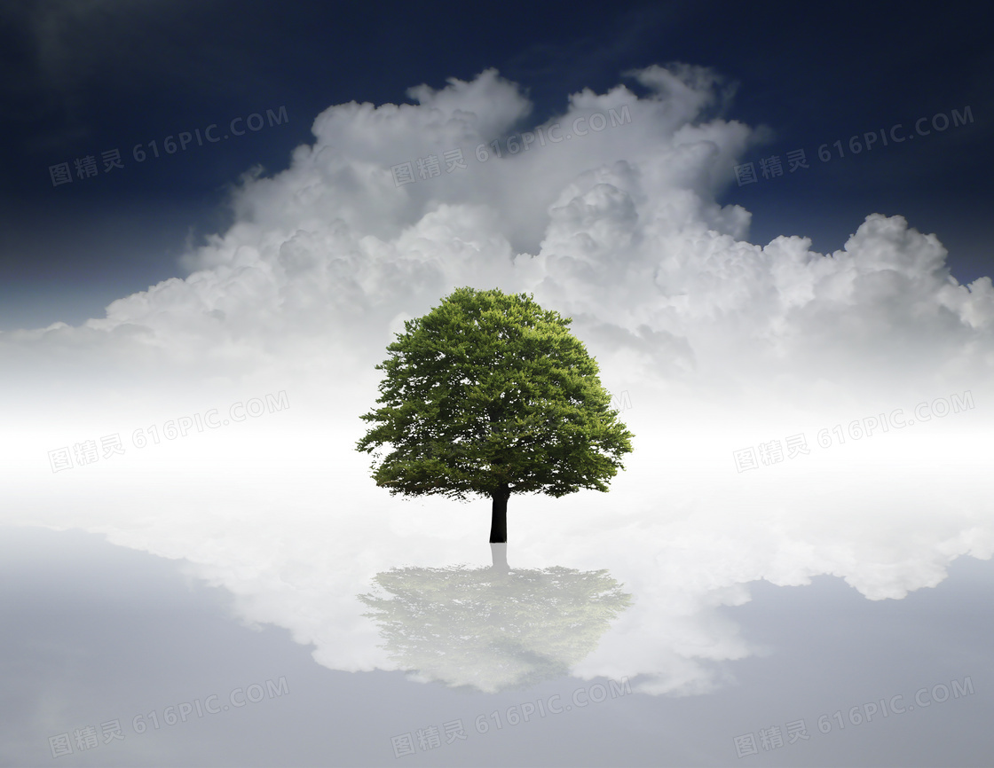 大树与厚重的云彩创意设计高清图片