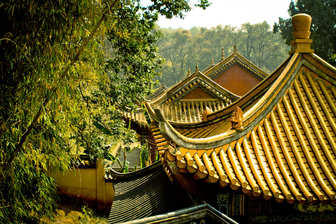 掩映在竹林后面的寺庙摄影高清图片