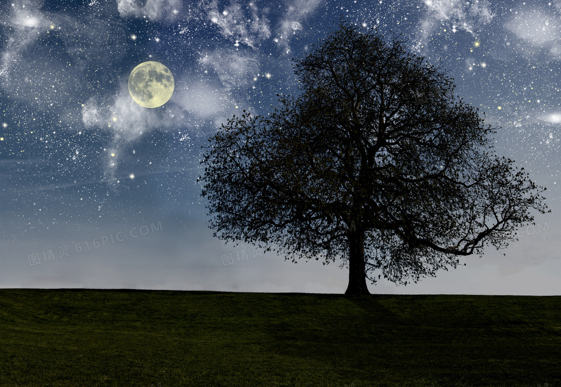 夜晚星空月亮大树草地摄影高清图片