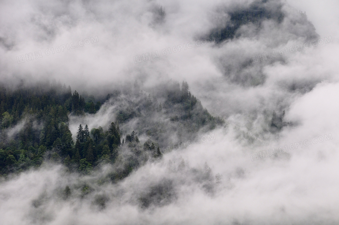大雾中的山间树林风光摄影高清图片