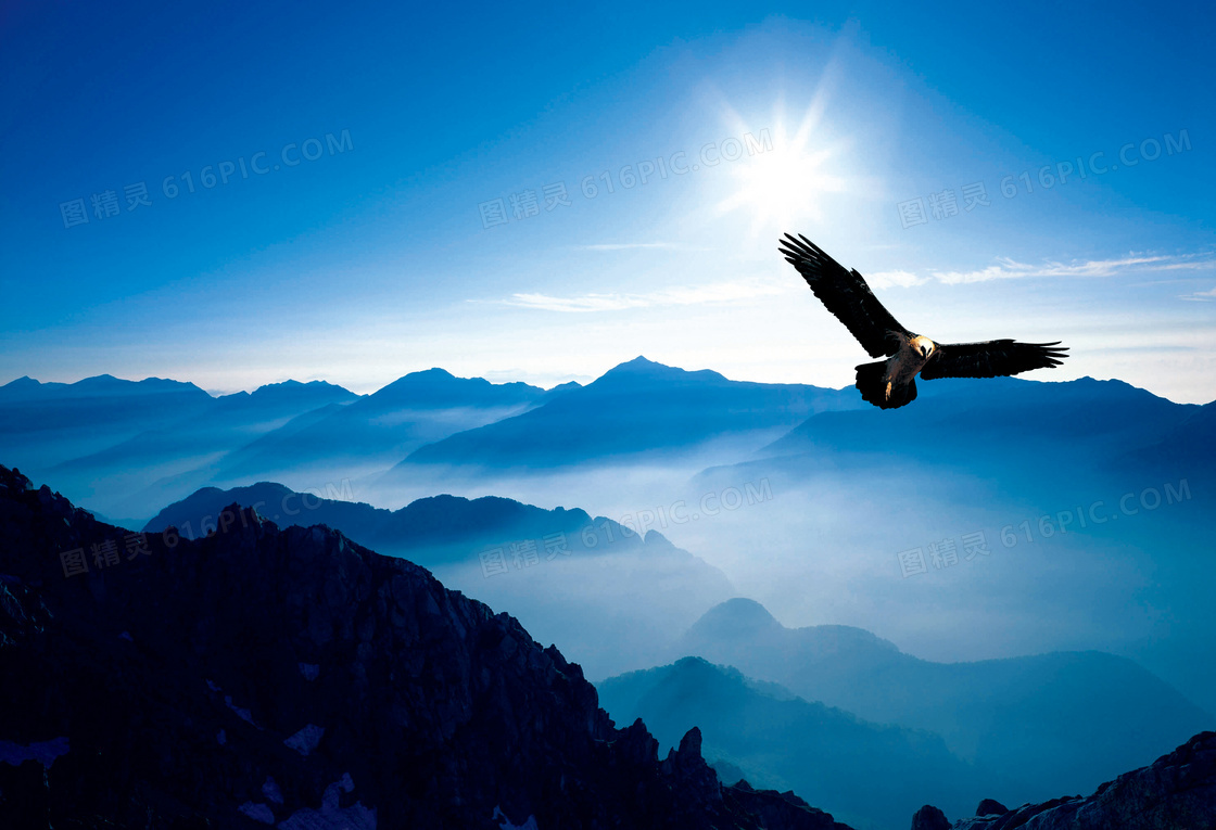 山脉间展翅飞翔的雄鹰摄影图片