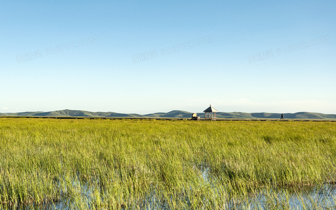 若尔盖草原花湖湿地美景摄影图片