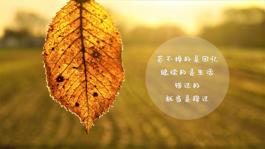 励志暖心文字图片