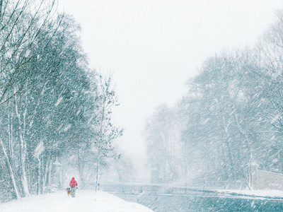 人与狗狗雪中风景画