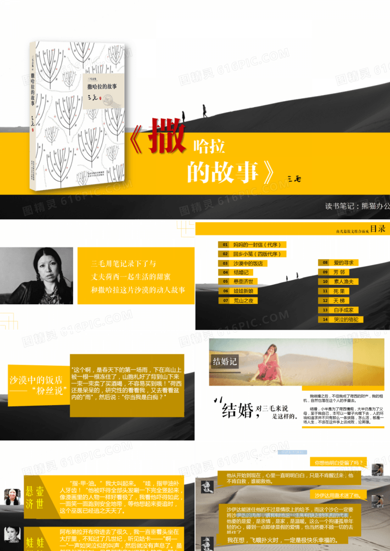 撒哈拉的故事读书笔记PPT作品