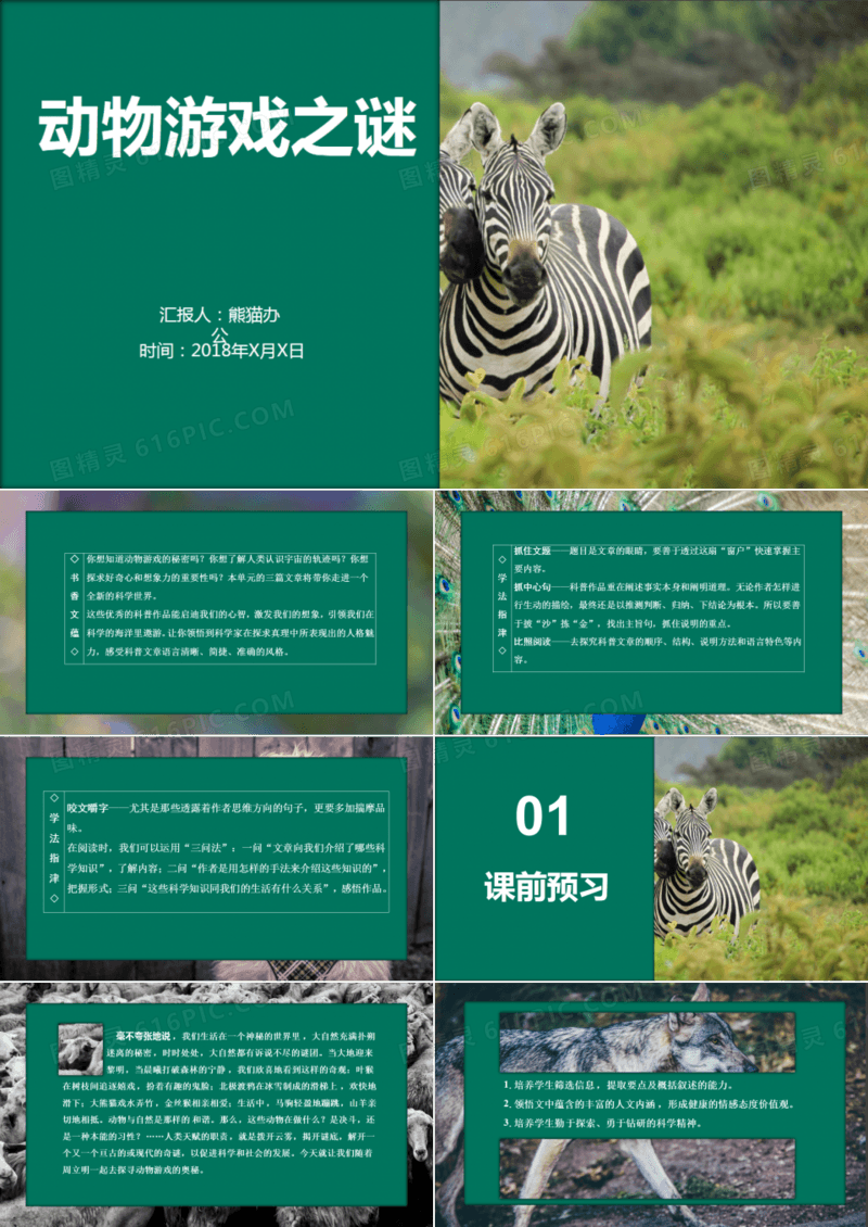 动物游戏之谜科普文章培训课件PPT模板