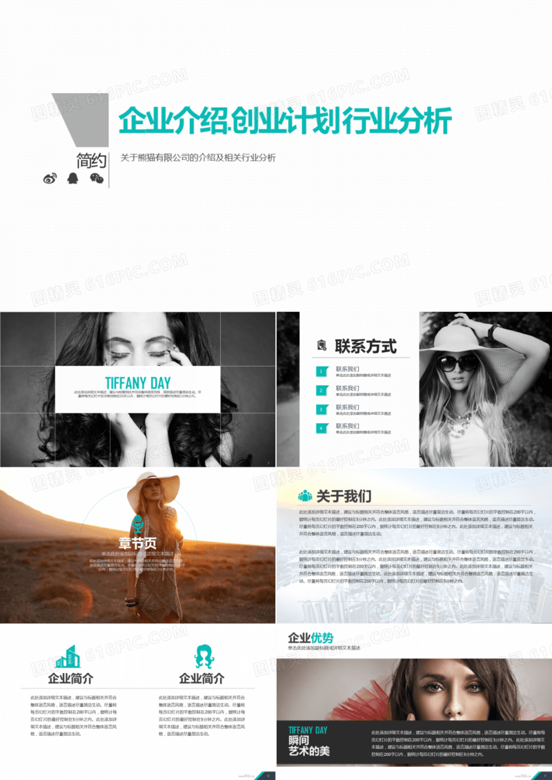 企业介绍创业计划行业分析PPT模板