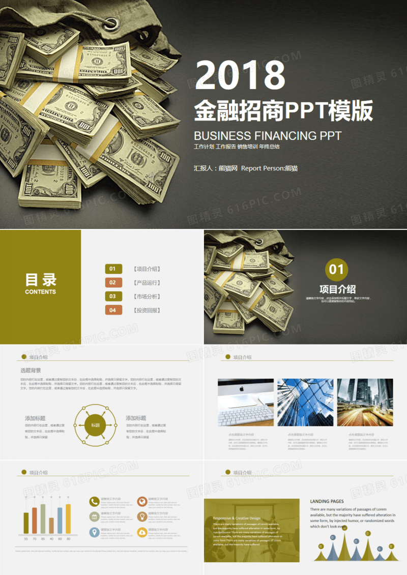 金融招商项目介绍融资PPT模版