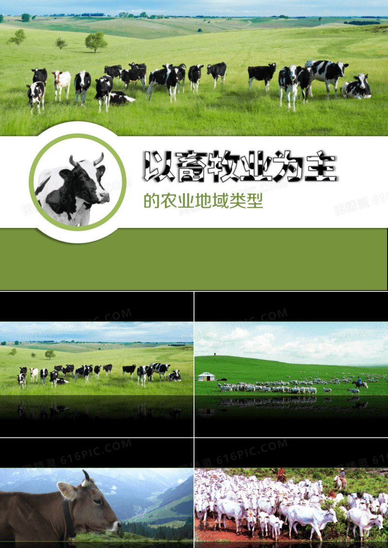 畜牧养殖业发展宣传PPT模板