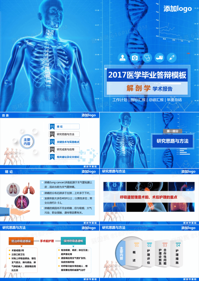 医学解剖学毕业答辩PPT模板