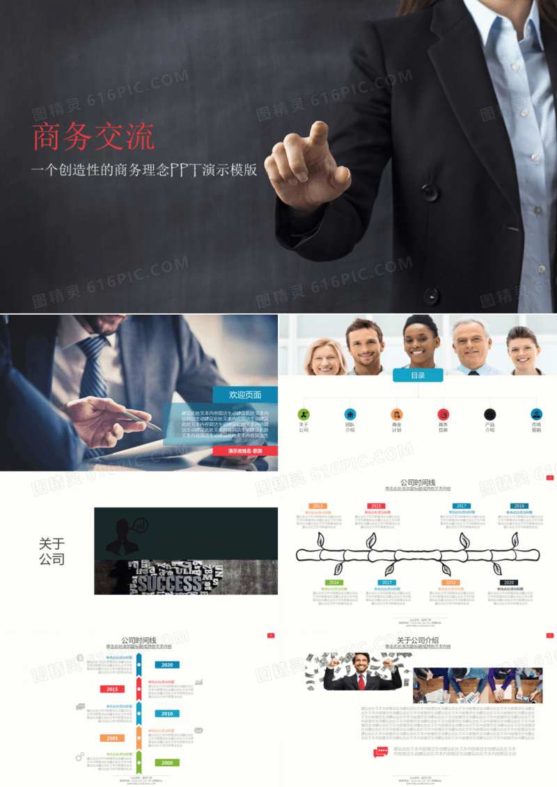 企业介绍市场规划销售策略分析PPT模板