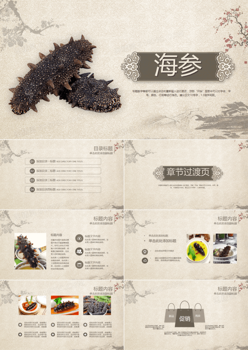 2019年古香古色中国风海参促销产品销售动态时尚简约PPT模板