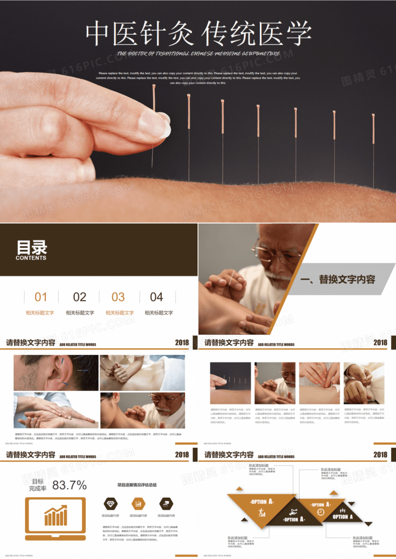 传统医学中医针灸中医中药ppt模板