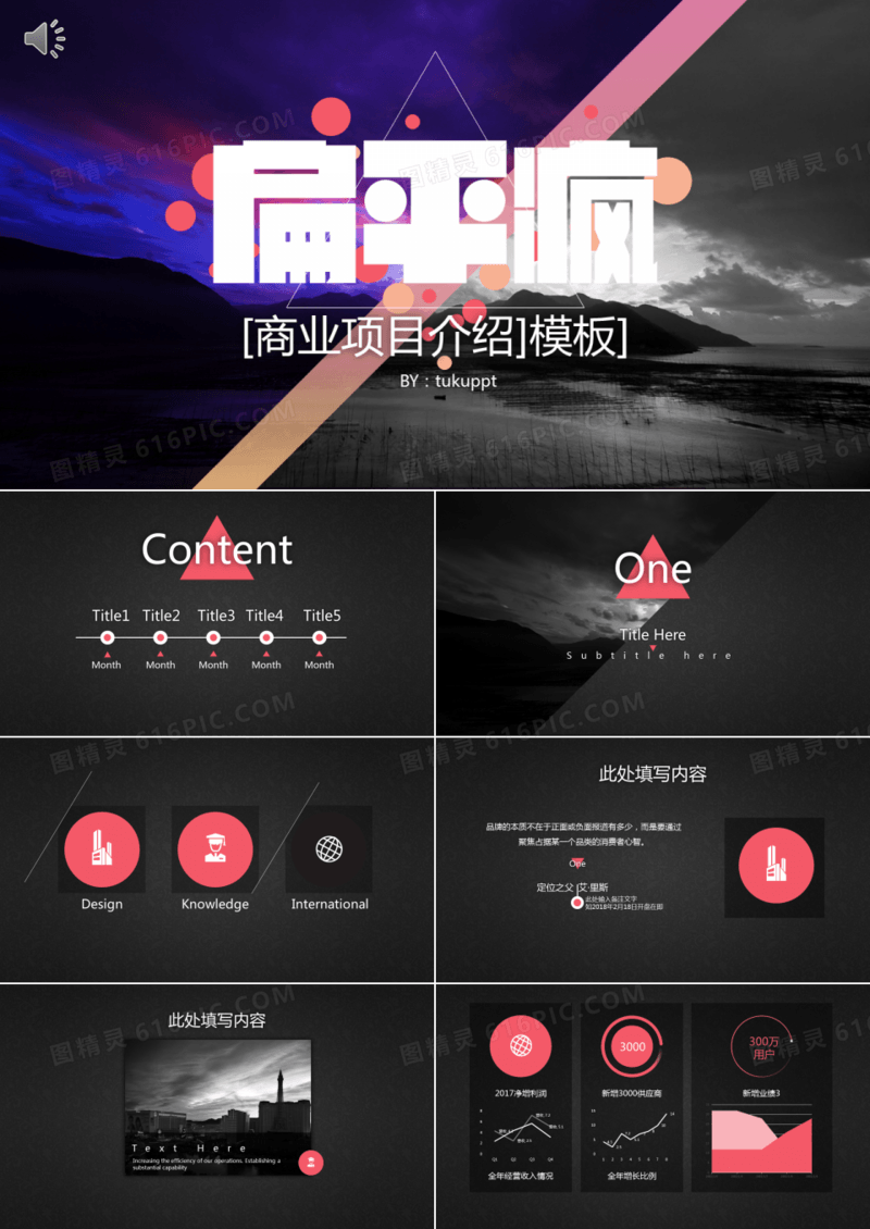 商业项目介绍计划PPT模板