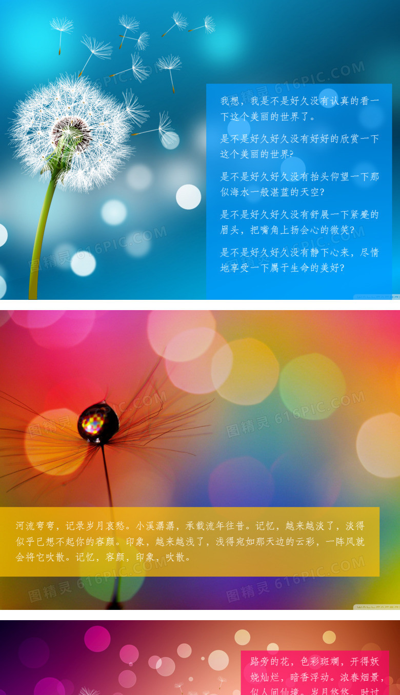 梦幻唯美蒲公英PPT背景图片