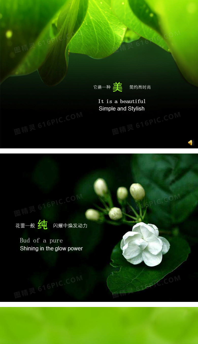 美丽绿色大自然PPT背景图片