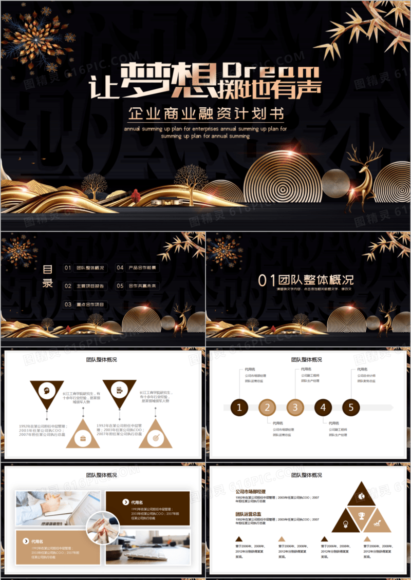 黑金创意中国风融资商业计划书PPT模板