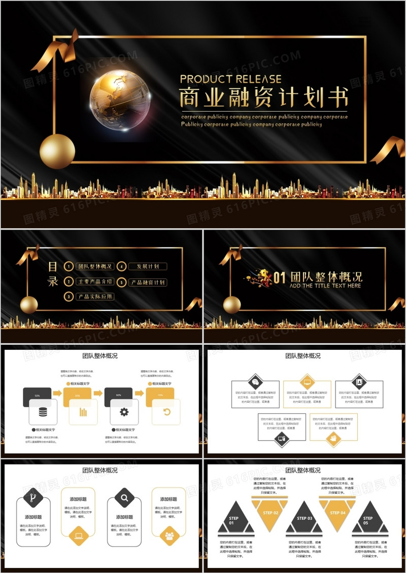 大气黑金商业项目计划书PPT模板