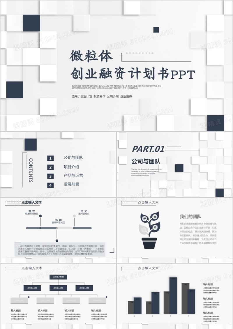灰色微粒体创业融资计划书PPT模板