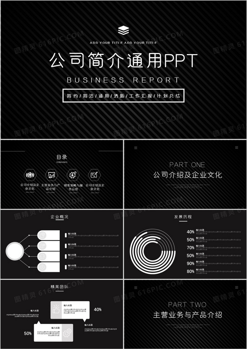 稳重大气高端商务通用公司简介PPT模板