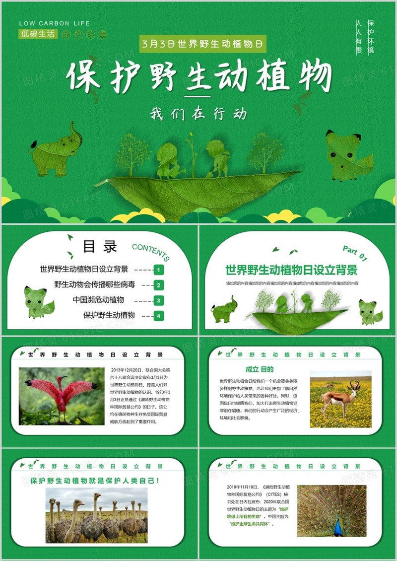 小清新保护野生动植物我们在行动PPT模板