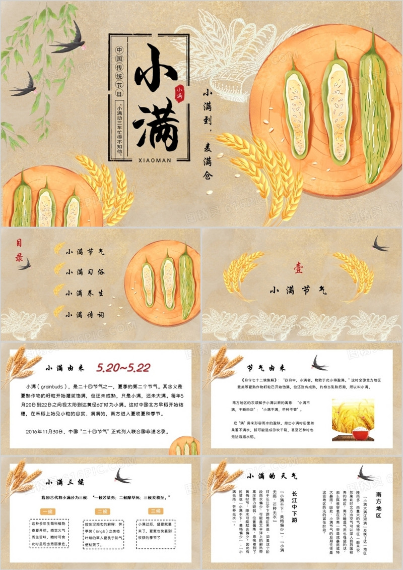 中国风卡通手绘传统二十四节气小满PPT模板